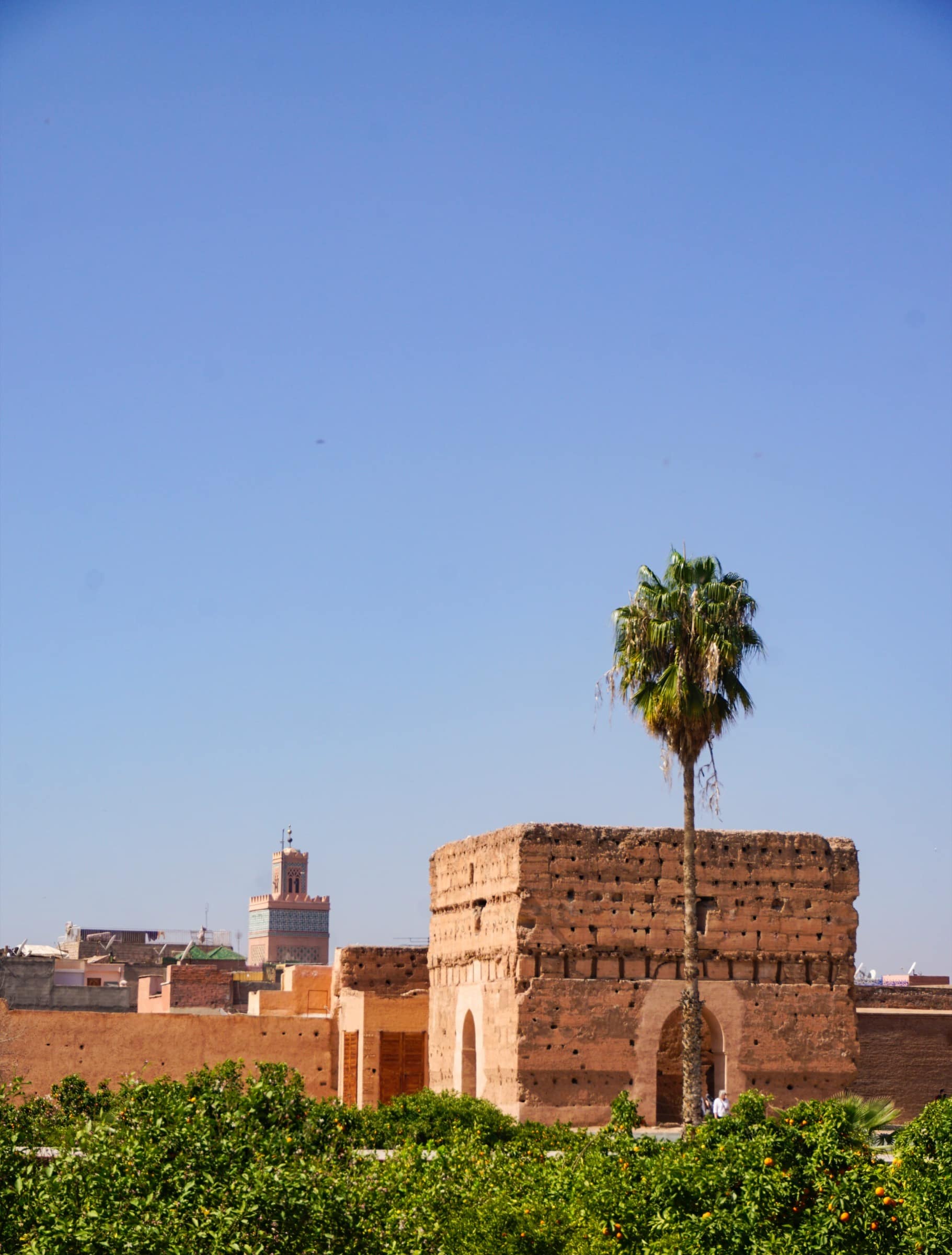 Le Palais El Badi - photo 5