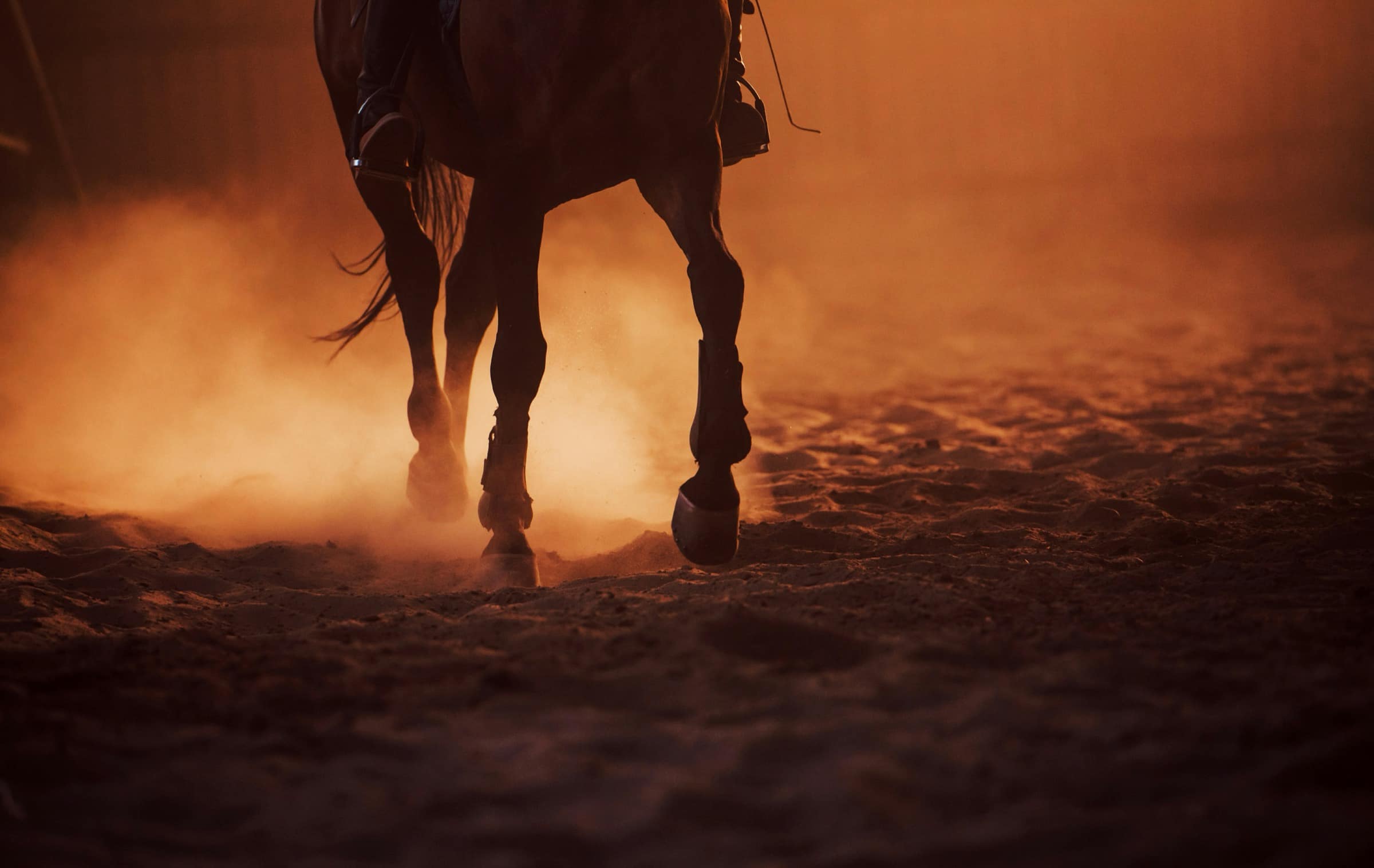 Balade à cheval à Marrakech