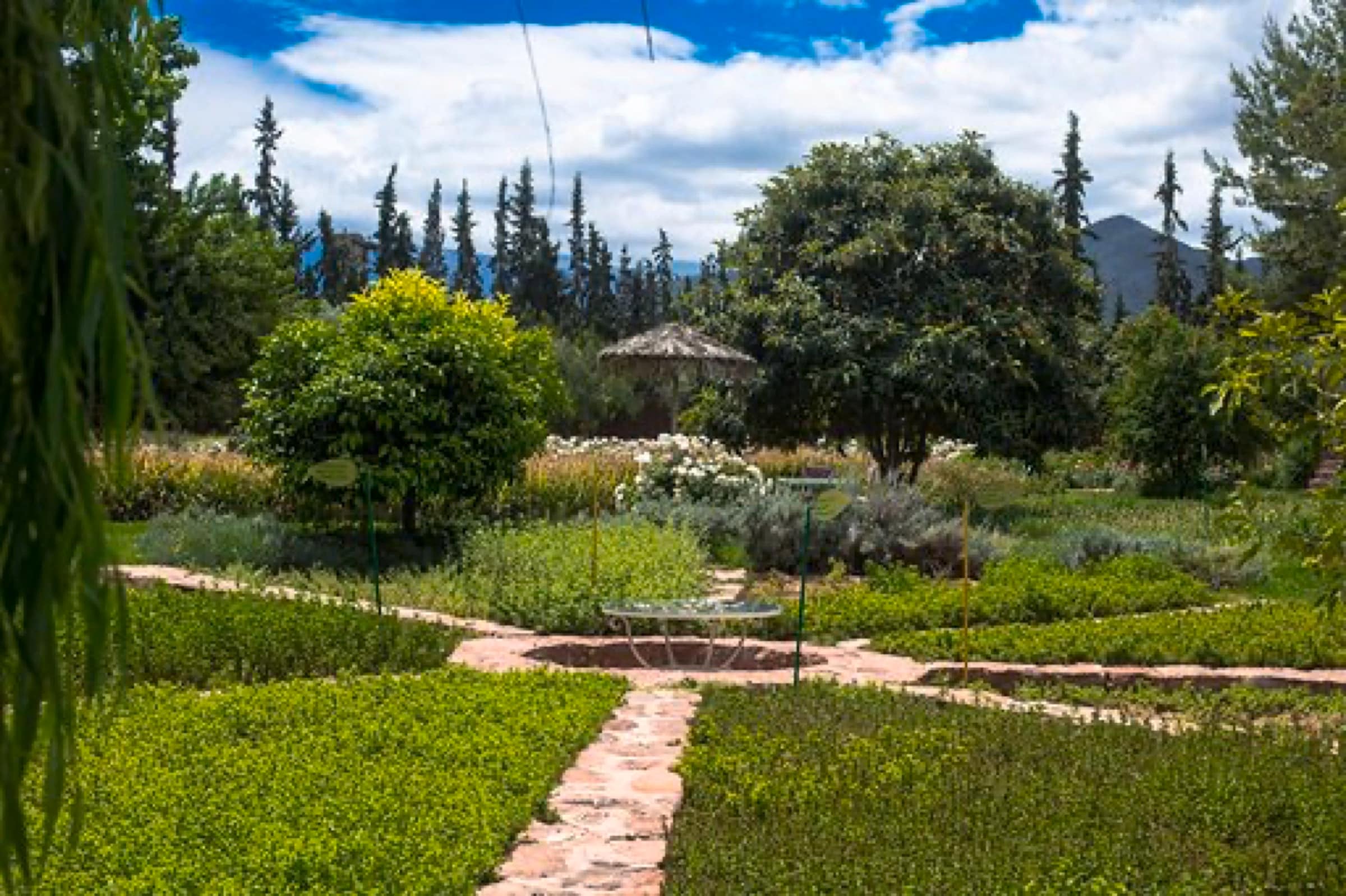 Jardin bio-aromatique de l'Ourika - photo 3