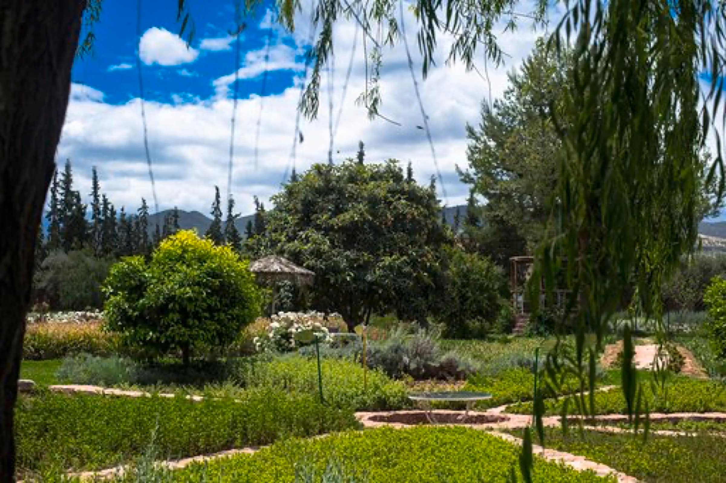 Jardin bio-aromatique de l'Ourika - photo 4
