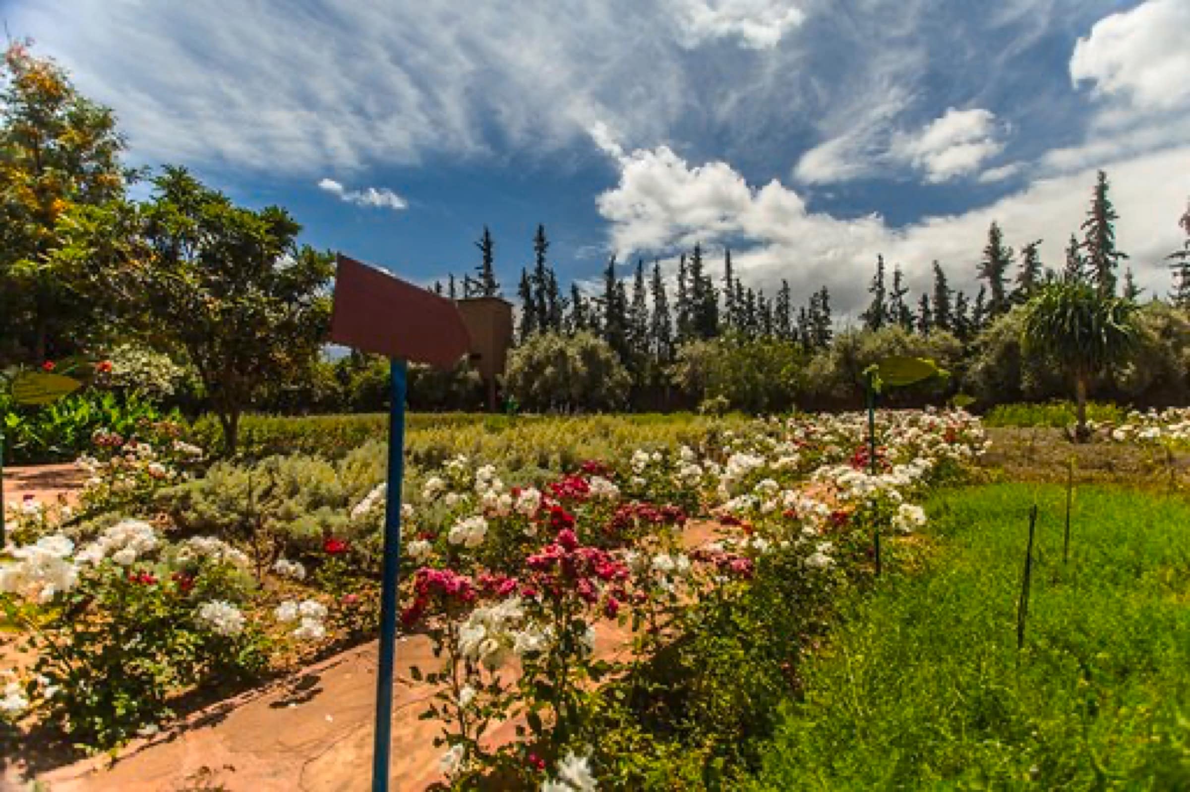 Les terrasses aromatiques