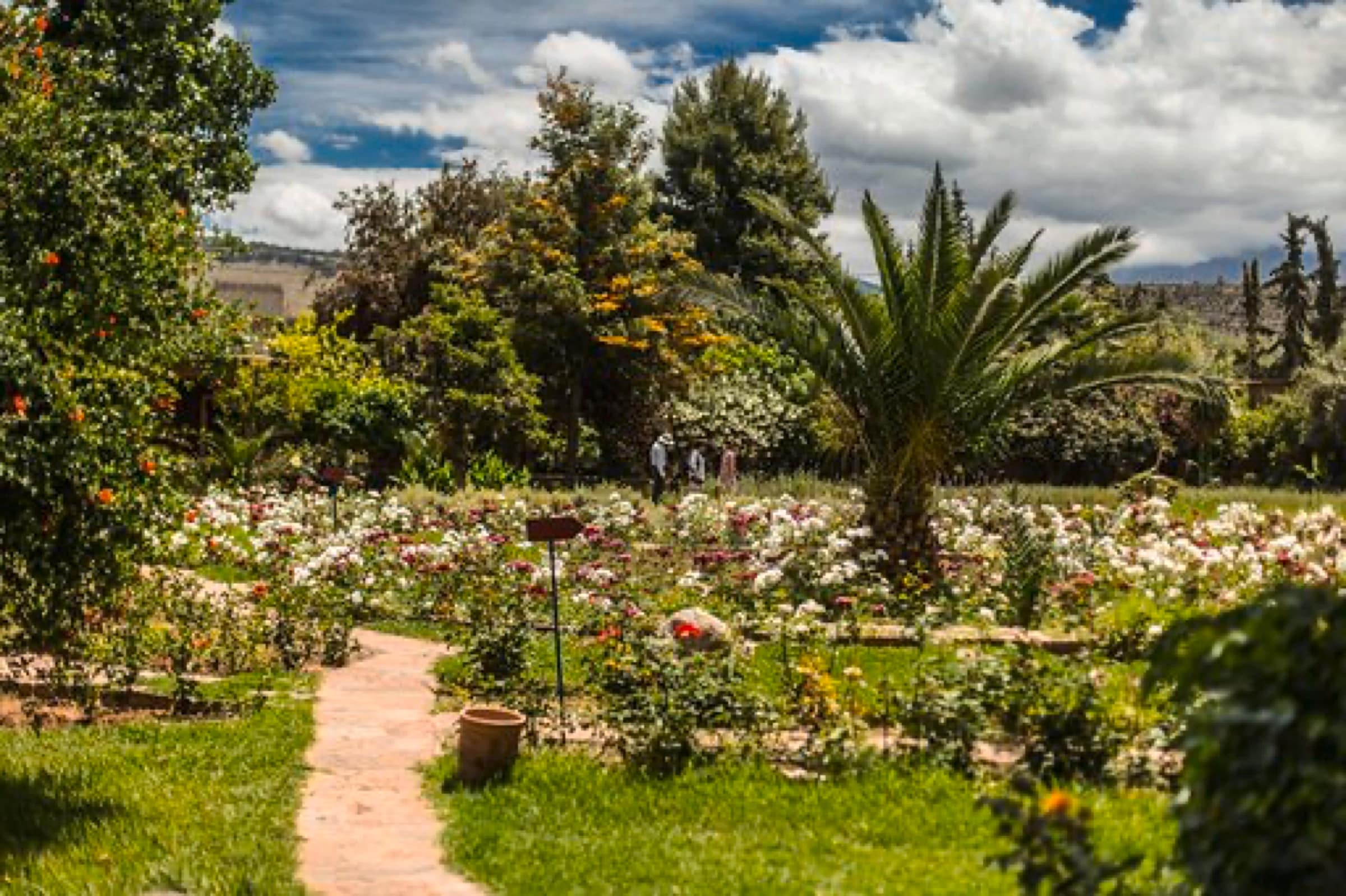 Jardin bio-aromatique de l'Ourika