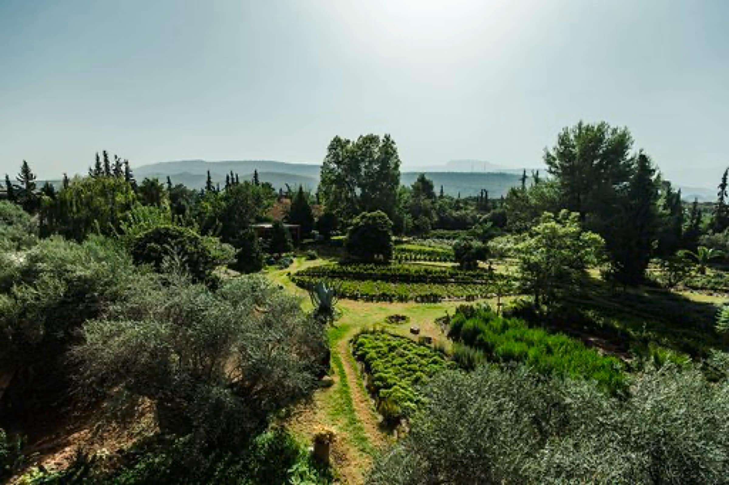 Jardin bio-aromatique de l'Ourika - photo 2