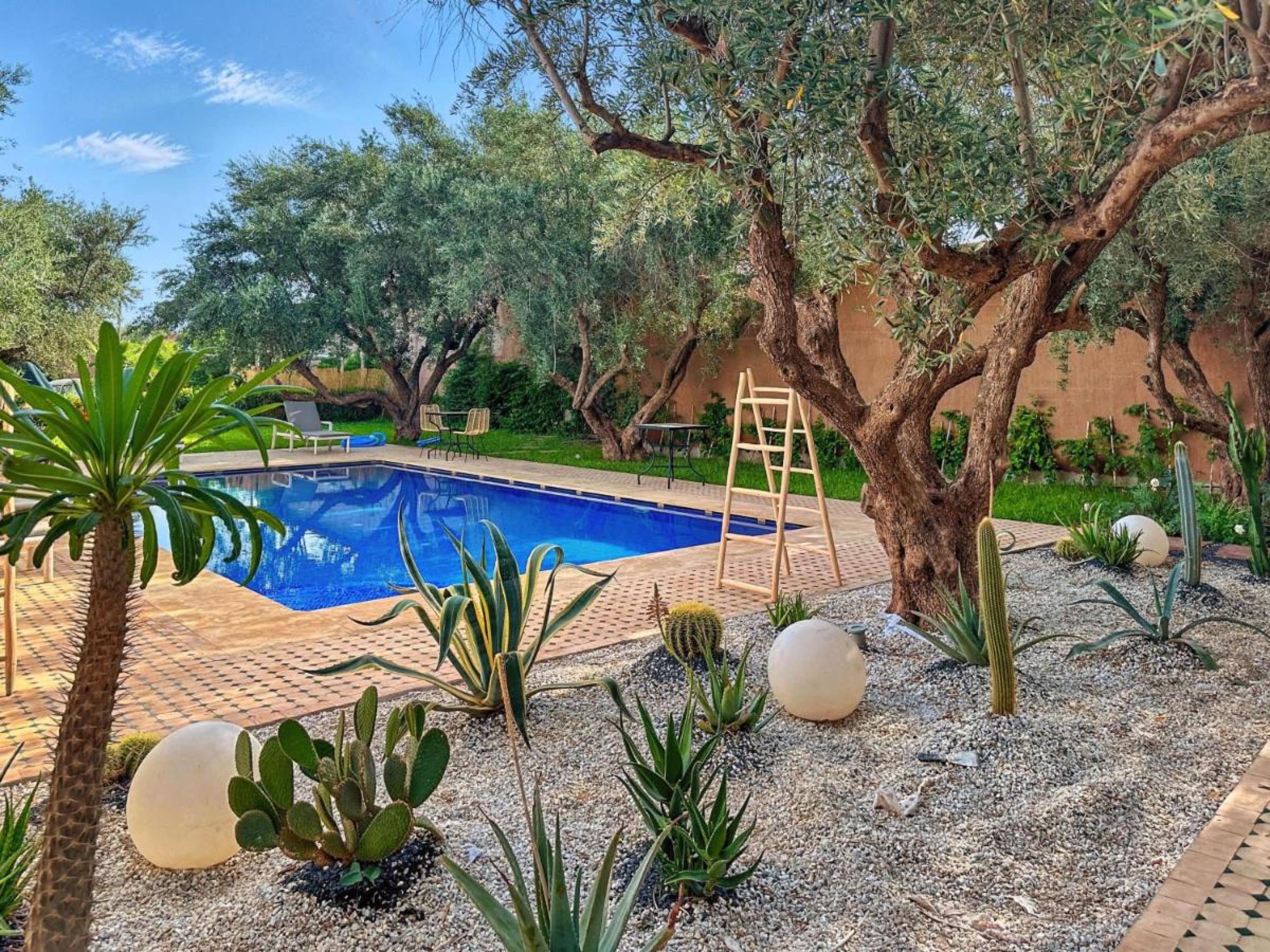 Le jardin de gravier, cactus et oliviers autour du bassin