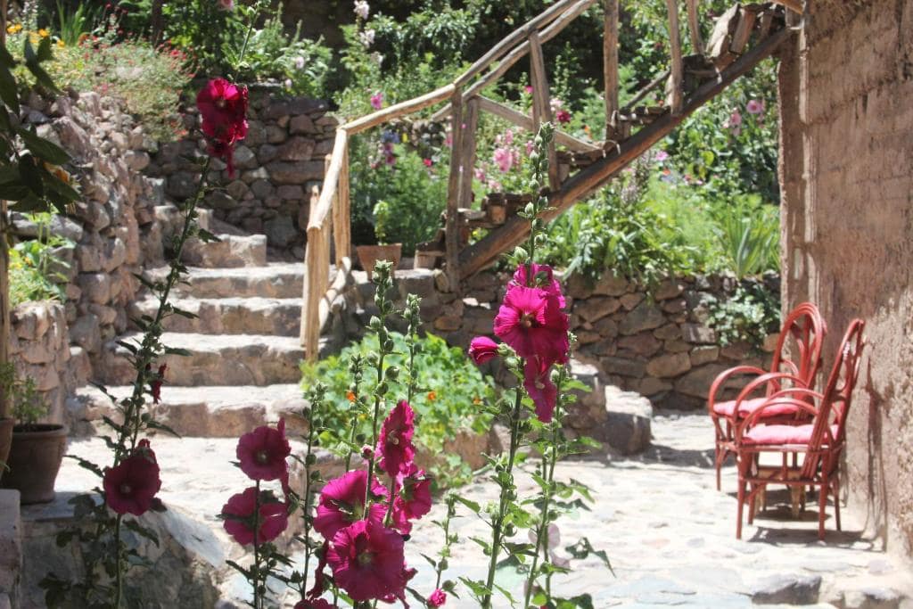 Les escaliers de pierre du jardin, plantés de roses trémières