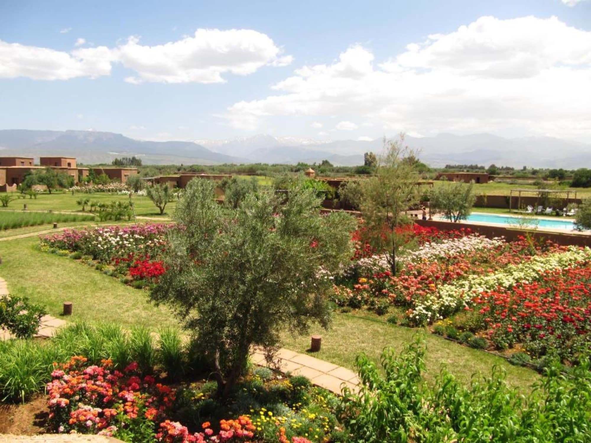 Les jardins de roses et d'oliviers face aux sommets