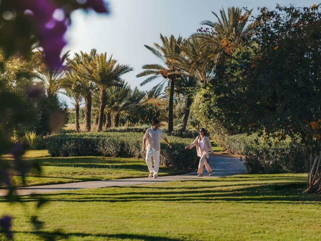 Les jardins du domaine, plantés d'oliviers