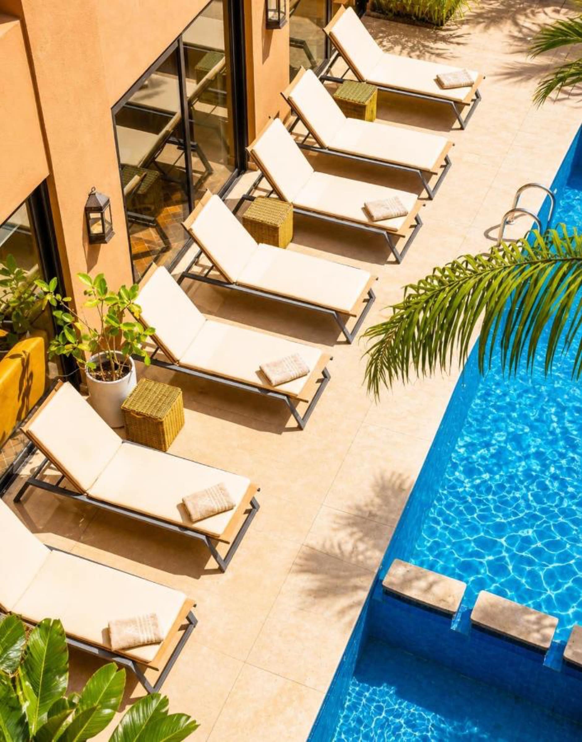 Les transats alignés au bord de la piscine