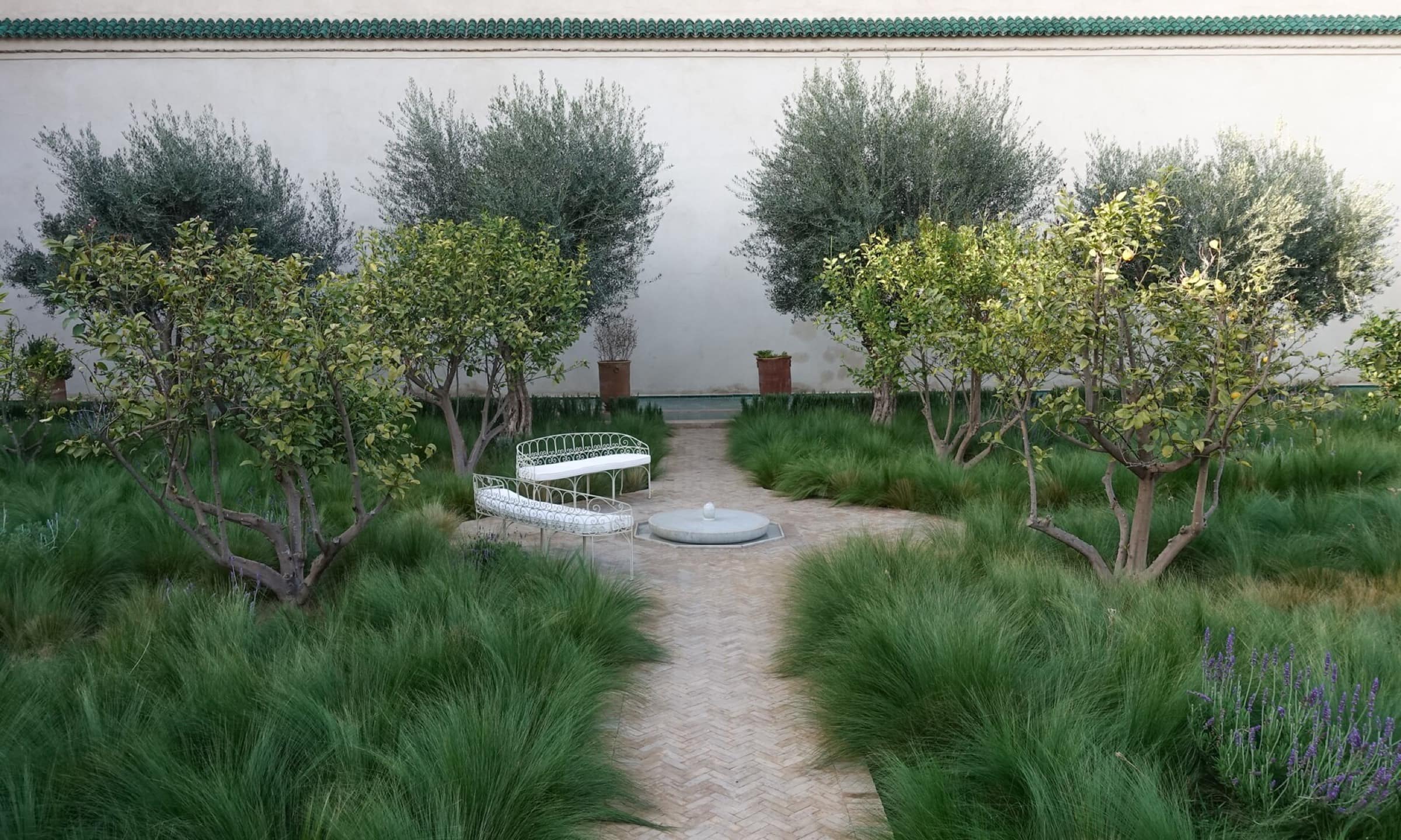 Le jardin exotique