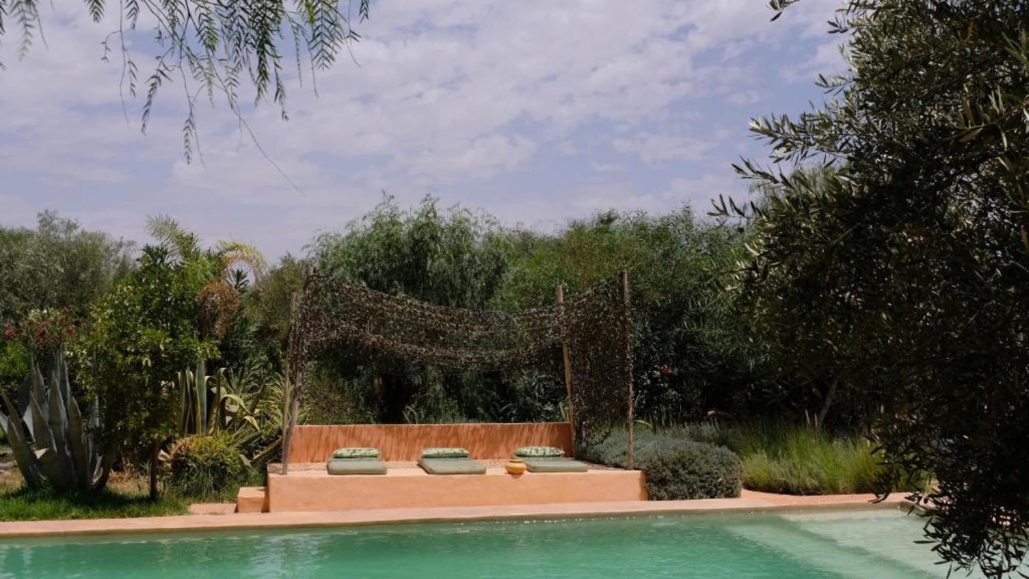 La piscine et son lit de repos sous tonnelle, au milieu des oliviers
