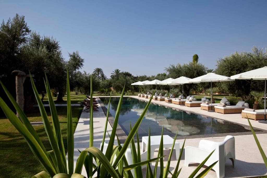 La piscine chauffée, bordée de transats sous les oliviers