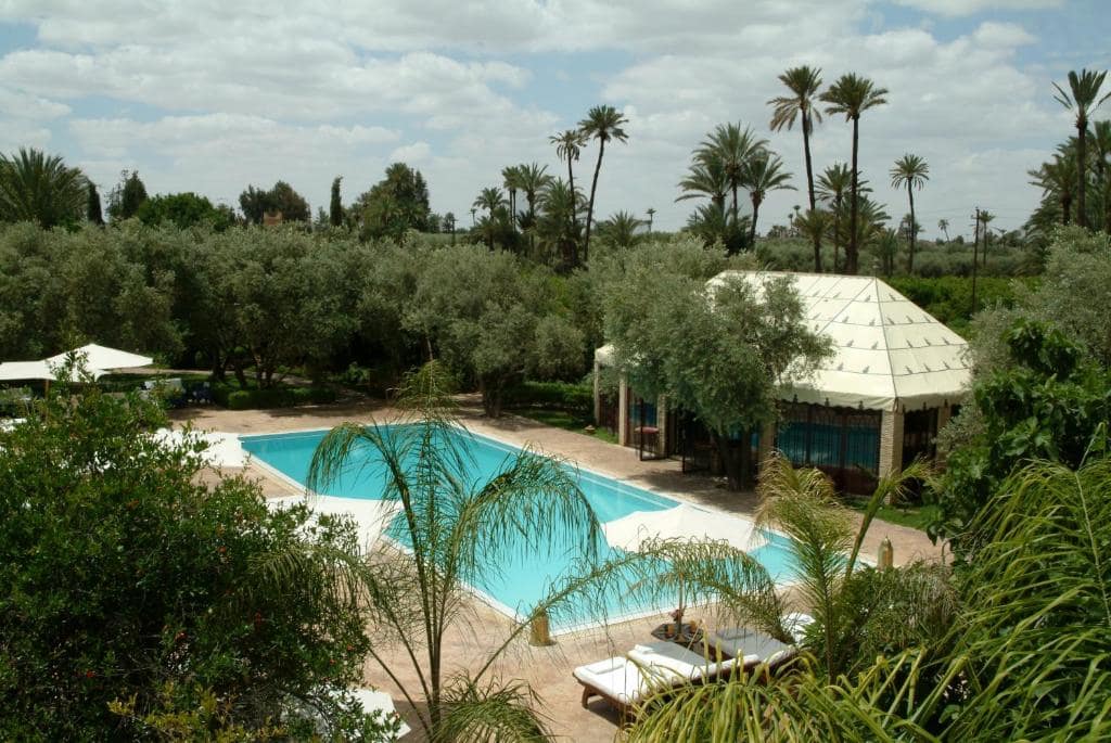 La piscine du country club, dans la Palmeraie