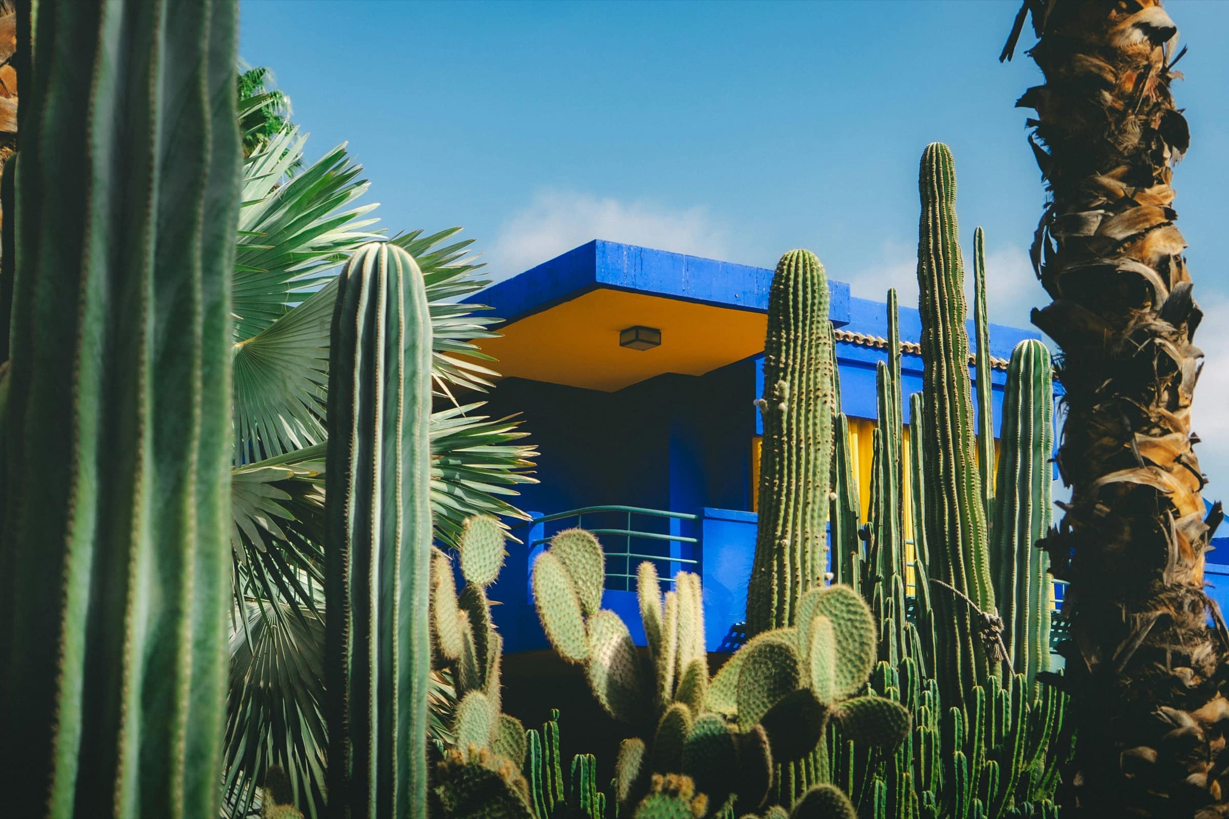 Jardin Majorelle
