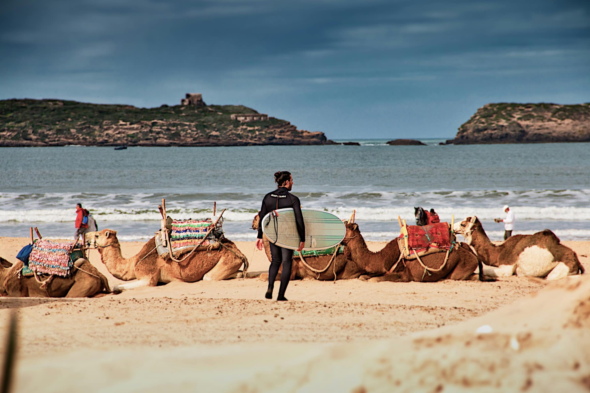 Plage d'Essaouira, dromadaires au coucher du soleil, alizés typiques de la côte atlantique marocaine en été