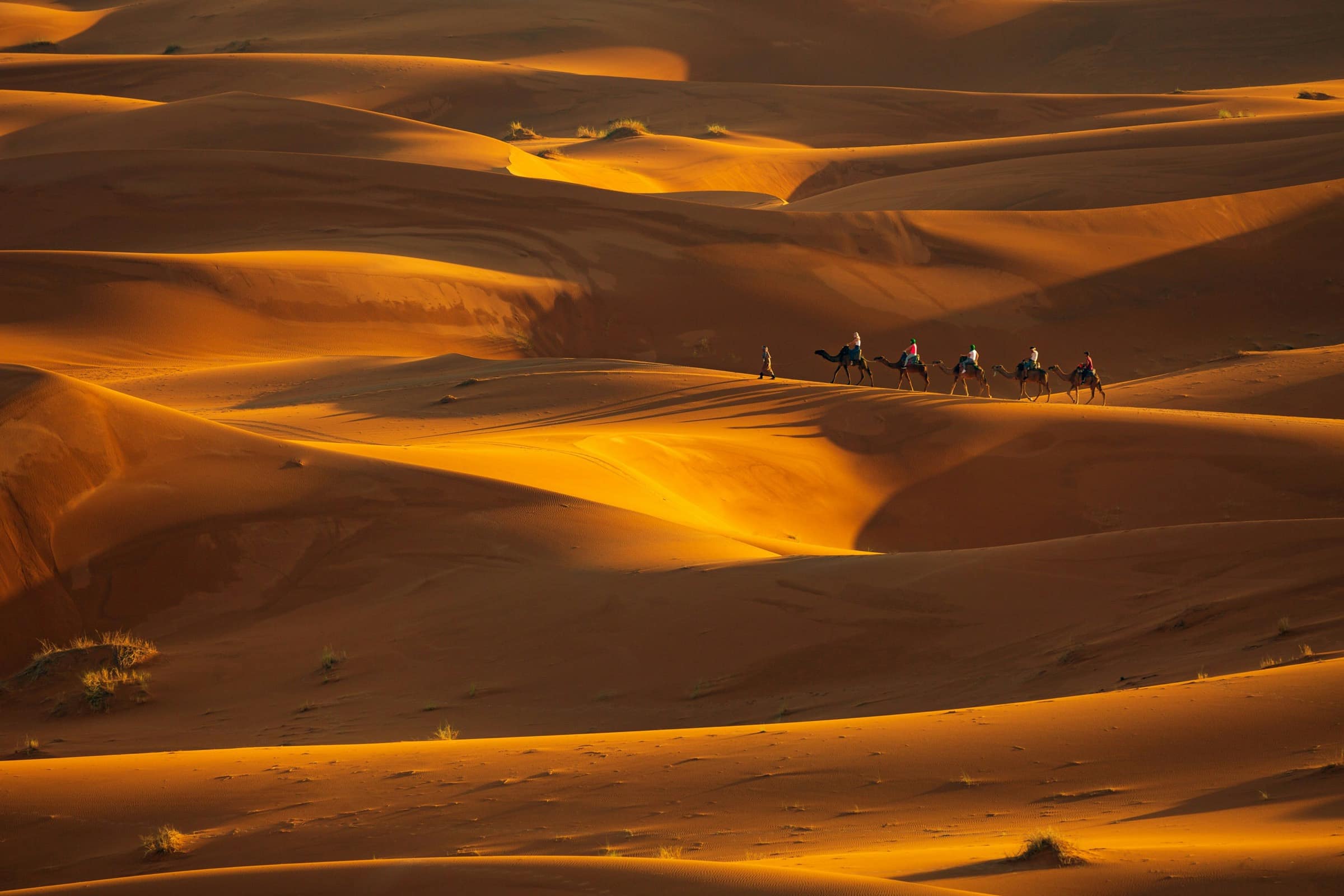Caravane de dromadaires sur les dunes, à la tombée du jour.