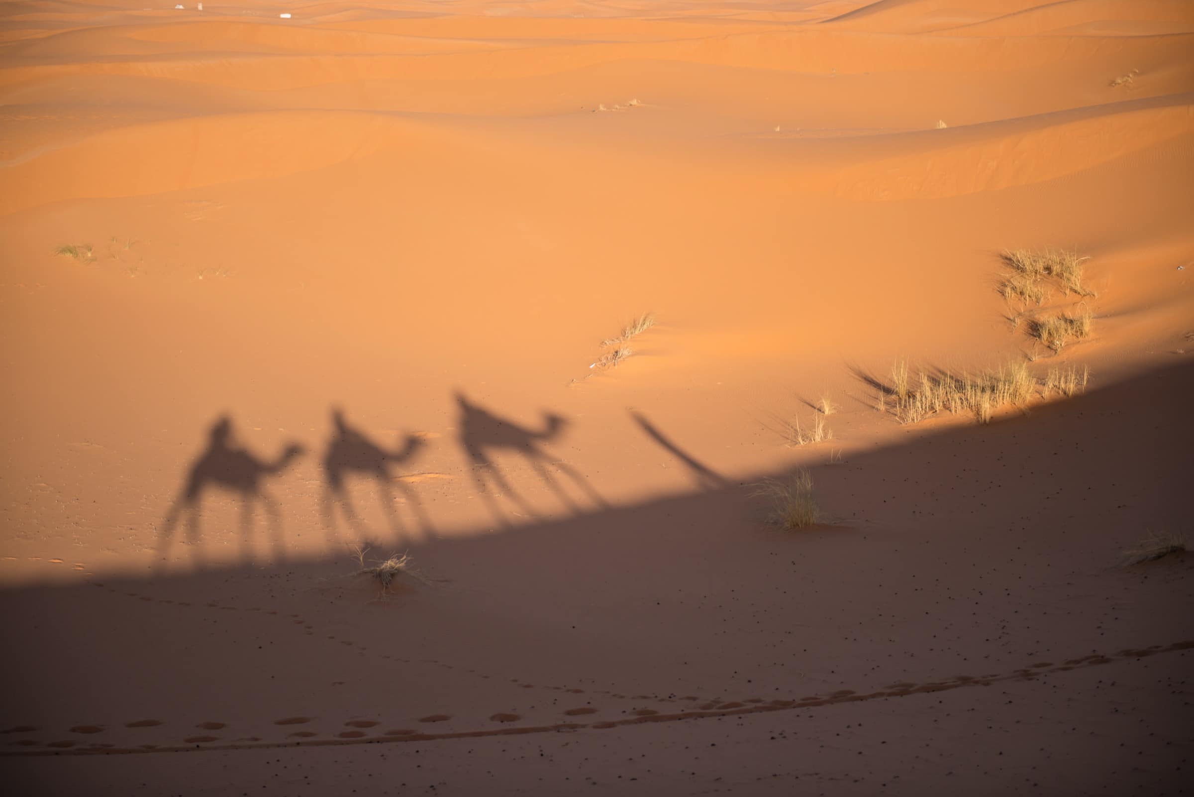 Désert de Merzouga