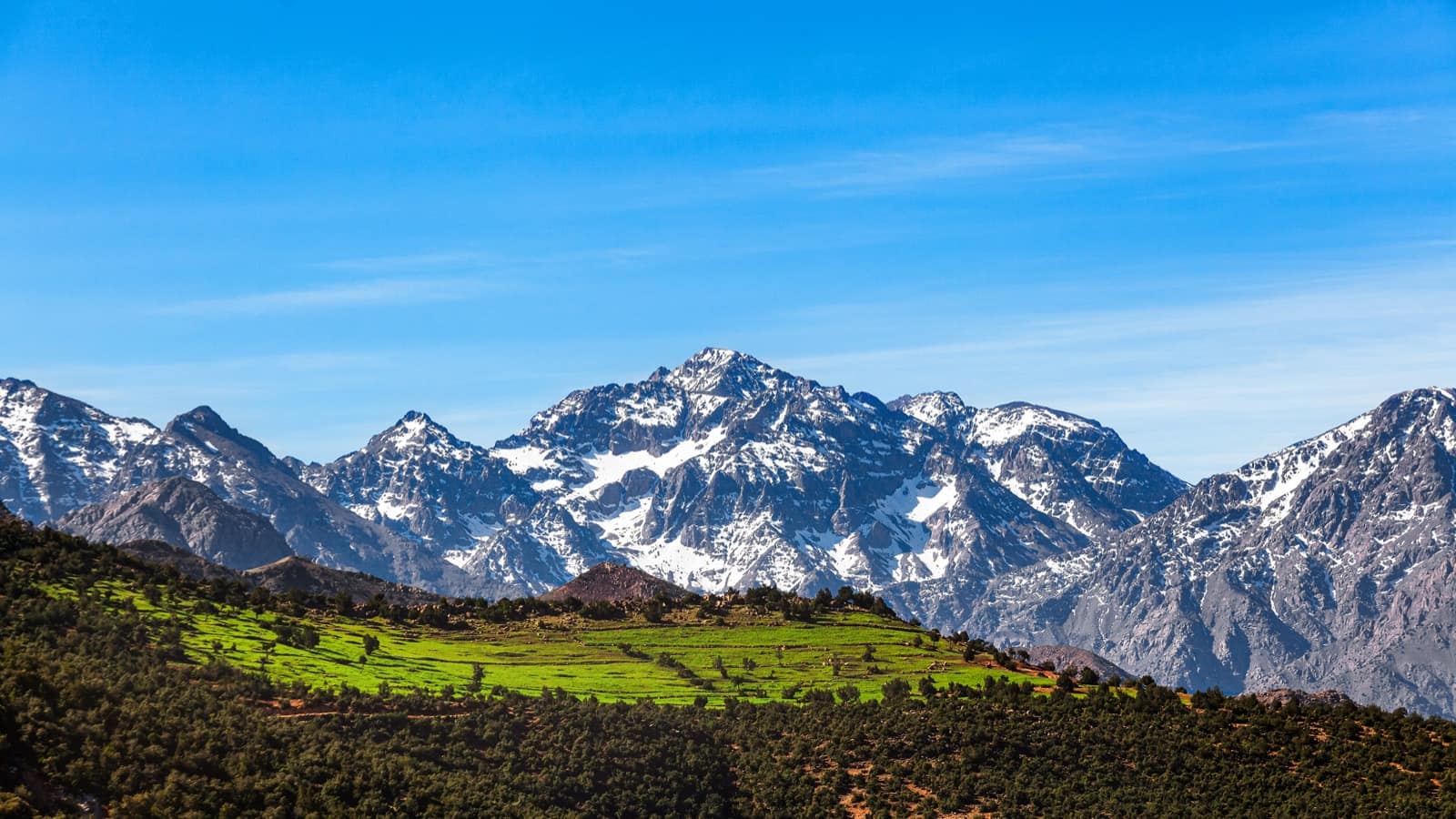 Marrakech en janvier
