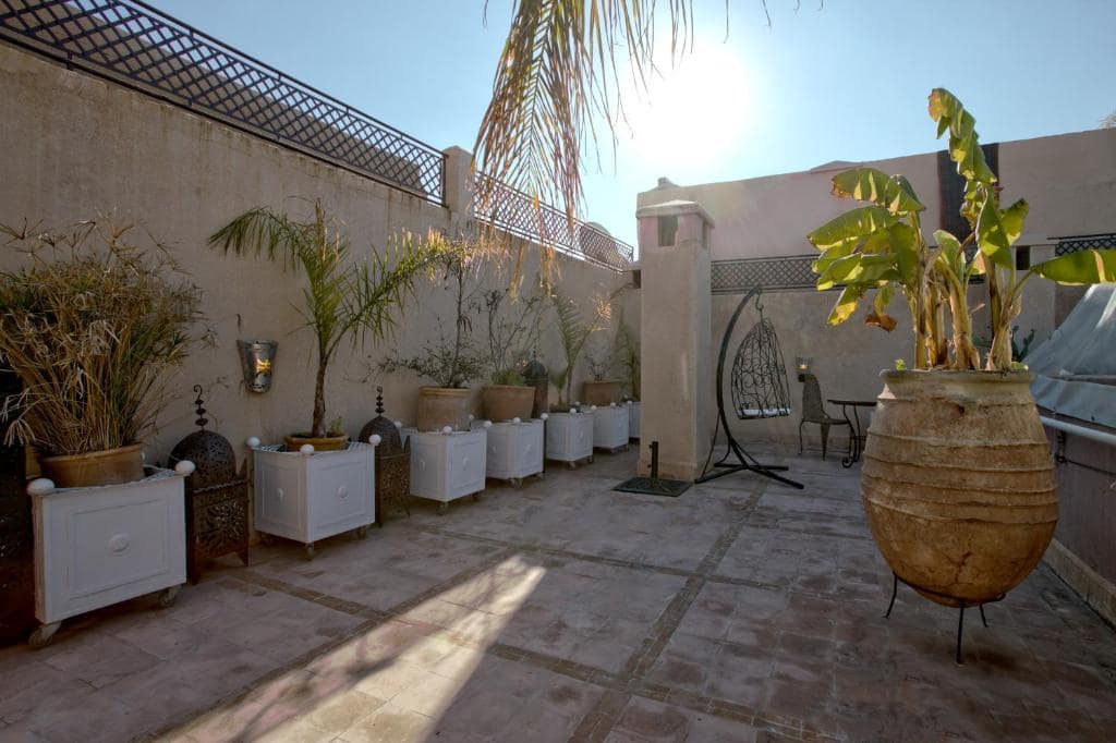 La terrasse sur les toits, bananiers et coin salon au soleil