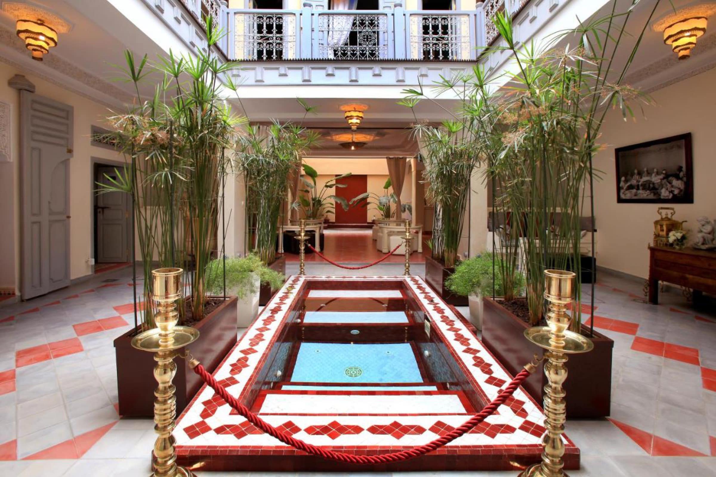 Le bassin du patio, cordé, entre les papyrus