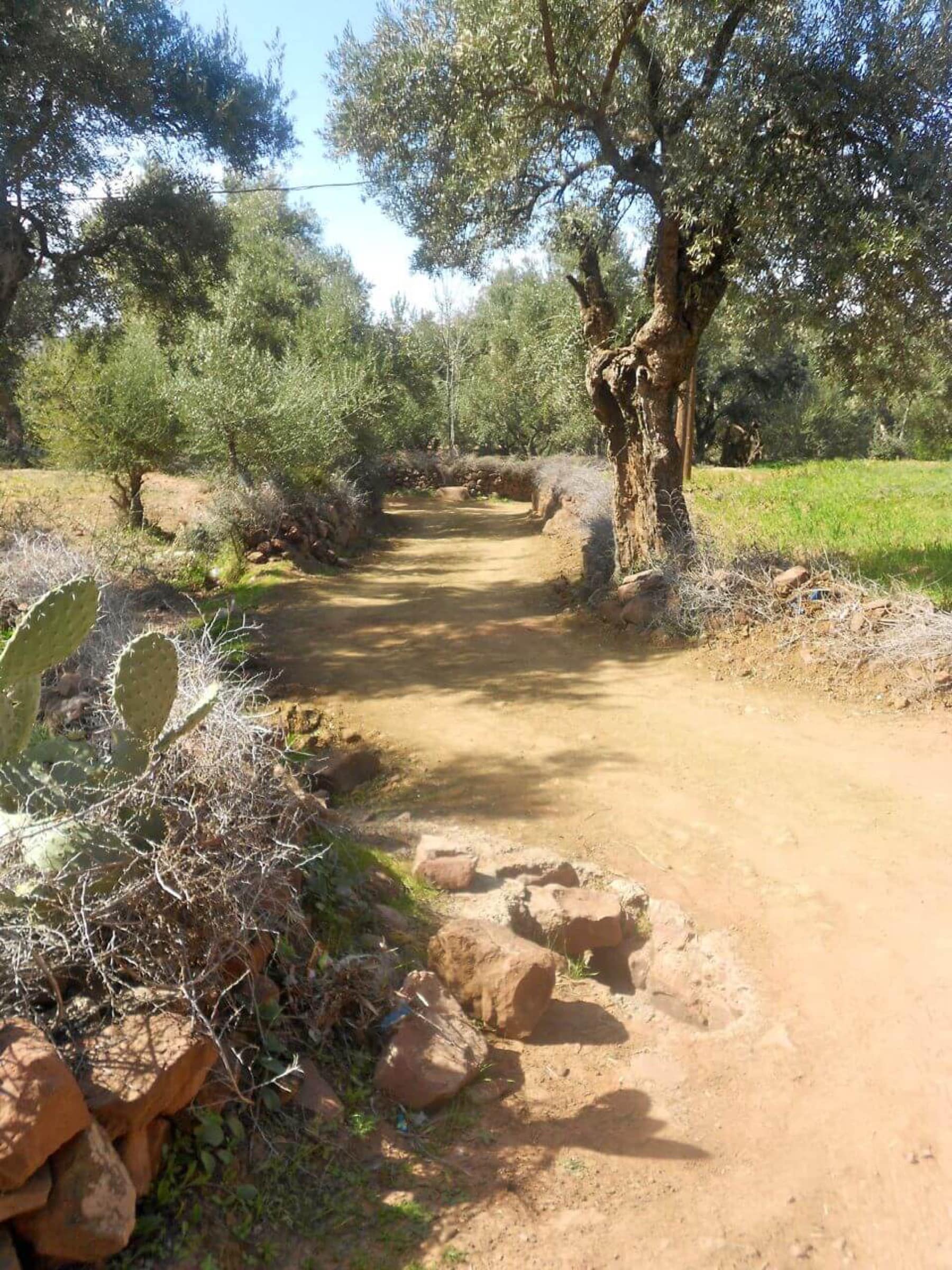 Vallée du Zat